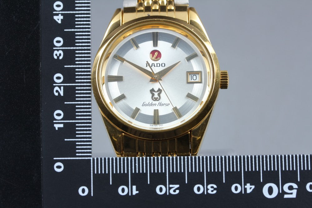 Near MINT RADO Golden Horse 633.3649.2 Silver Auto 34.5mm Men's Watch