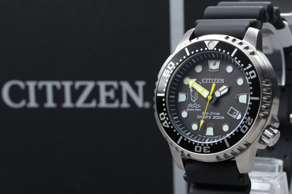 MINT CITIZEN Professional Master E168-S120314 Black Solar 42.2mm Men's Watch