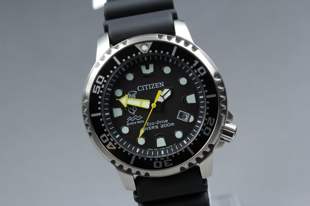 MINT CITIZEN Professional Master E168-S120314 Black Solar 42.2mm Men's Watch
