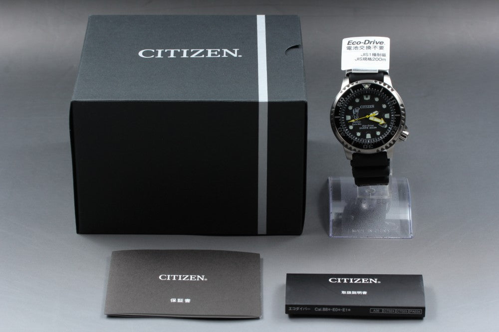 MINT CITIZEN Professional Master E168-S120314 Black Solar 42.2mm Men's Watch