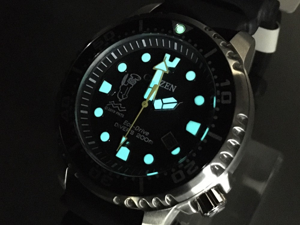 MINT CITIZEN Professional Master E168-S120314 Black Solar 42.2mm Men's Watch