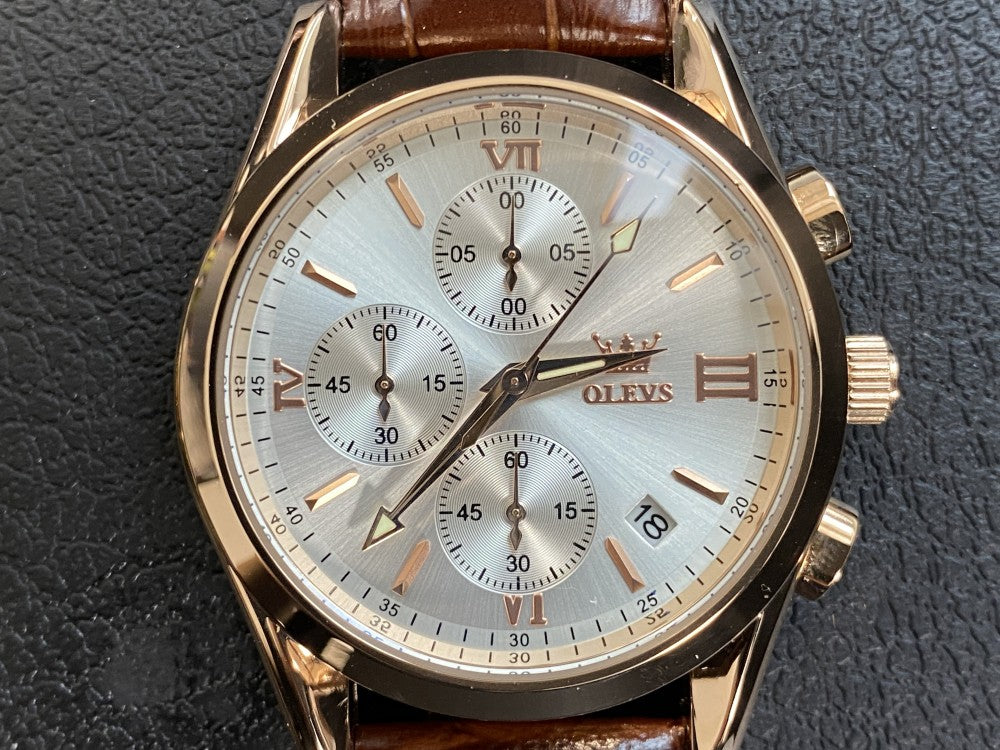 MINT OLEVS 2872G Men's Watch